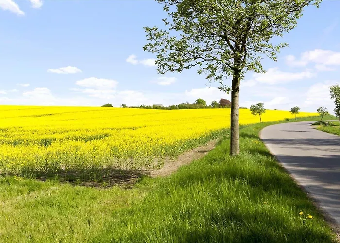 度假居 3026-stege-rabylille-straede-1 *